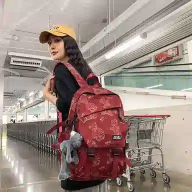 醇龙 大容量简约 尼龙 男女通用 双肩包 多色