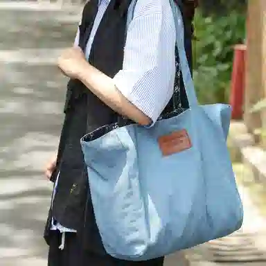 醇龙 简约百搭时尚 帆布 帆布包单肩包 女款 白/浅蓝