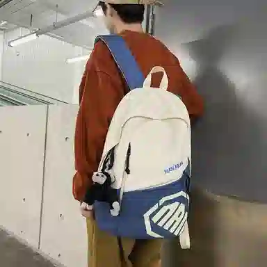 醇龙 简约大容量时尚百搭通勤学生 尼龙 双肩包 常规 男女同款情侣款 多色