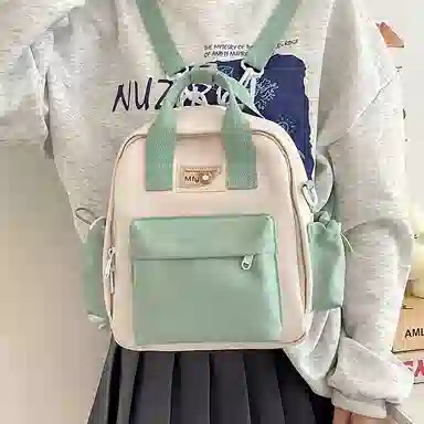 醇龙 小型韩系轻便百搭出游多用小众外出休闲 手提包单肩斜挎包 尼龙 双肩包 女款 多色