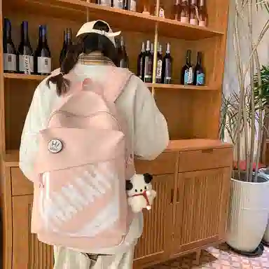 醇龙 高颜值护脊减负旅行轻便大容量学生 双肩包 尼龙 男女通用 多色