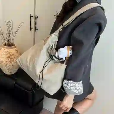 醇龙 简约时尚潮流百搭高级 尼龙布 单肩包 常规 男女同款情侣款 多色