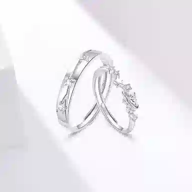 ins S925