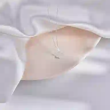 【纯银999】 赛菲尔 四叶草 小众设计经典百搭日常简约高级感精致轻奢极简通勤温柔气质 足银 项链 女款