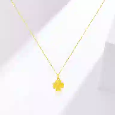ins 999