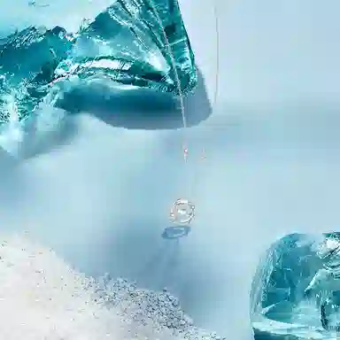【纯银999】 赛菲尔 羽你相伴 设计小众经典百搭高级感日常精致简约时尚轻奢通勤温柔气质可调节锁骨 足银 项链 女款