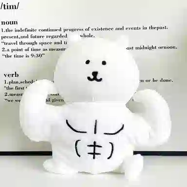 20cm