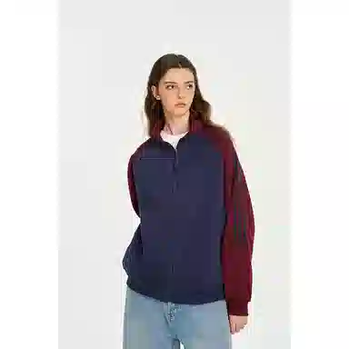GOOSELIAR ins