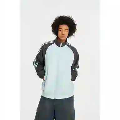 GOOSELIAR ins