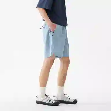 GOOSELIAR