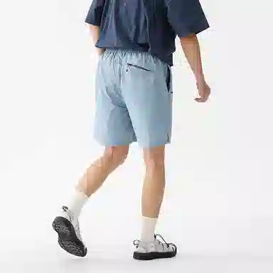 GOOSELIAR