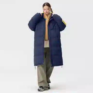 GOOSELIAR