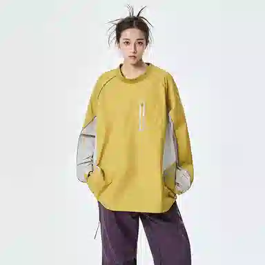 GOOSELIAR