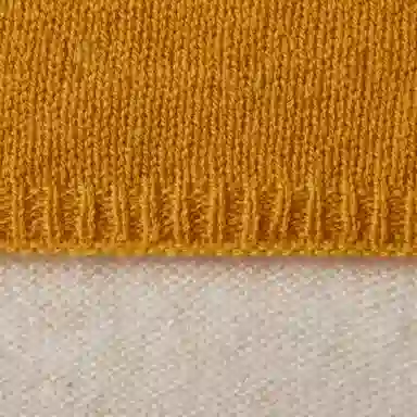 WENSLI