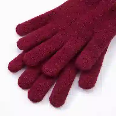 WENSLI