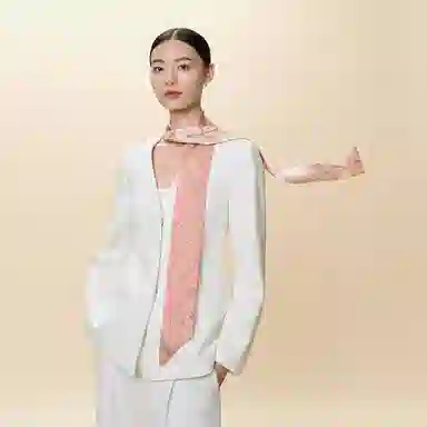 WENSLI 25 100 twilly