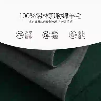 WENSLI 100