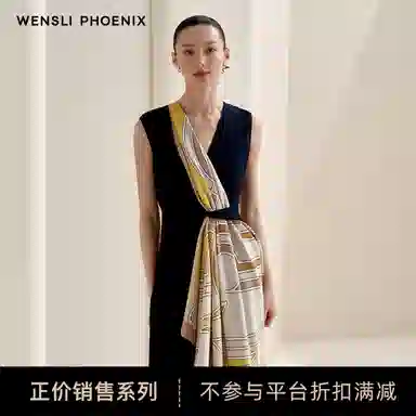 WENSLI 100