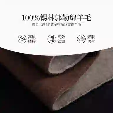 WENSLI 100