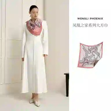 WENSLI 100