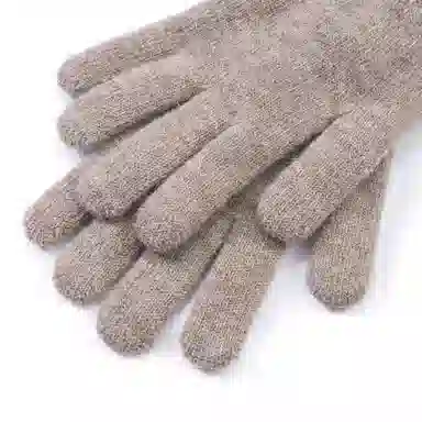 WENSLI