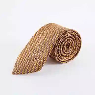 WENSLI