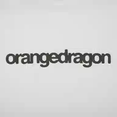 ORANGE DRAGON 2025 LOGOT