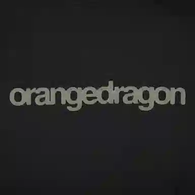ORANGE DRAGON 2025 LOGOT