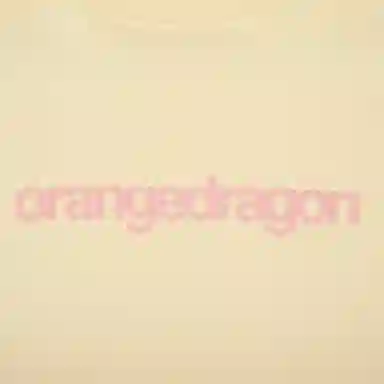 ORANGE DRAGON 2025 LOGOT