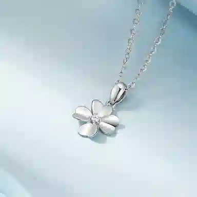 ins Pt950