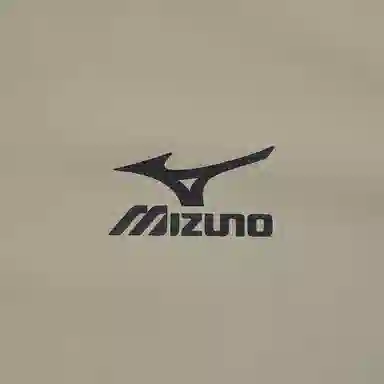 Mizuno T