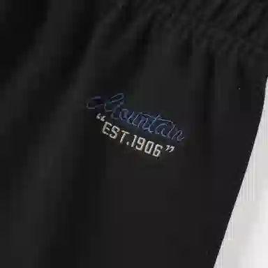 Mizuno logo