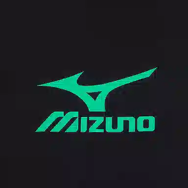 Mizuno T
