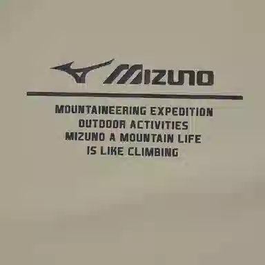 Mizuno T