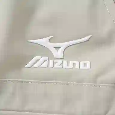 Mizuno