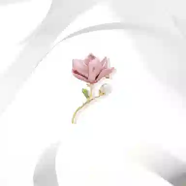 CANHUI