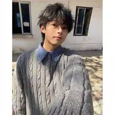 DEMAVIE insPOLOcleanfit