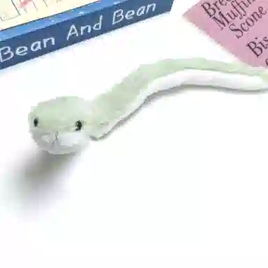 Crafts Women