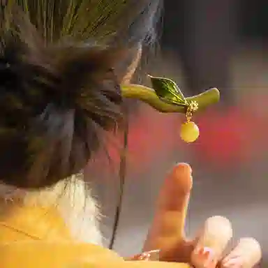 LILYLOTTY