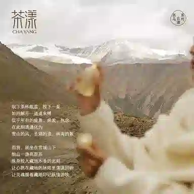 chayang 318 EDP 50ml