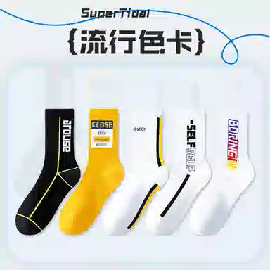 SS24 3