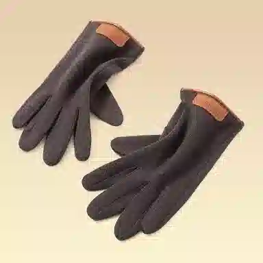 俞兆林 男士冬季德绒防寒骑电动车防风可触屏户外运动徒步登山轻暖舒服 保暖 分指手套 男款