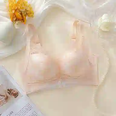 芬腾 调整型全罩杯聚拢上托收副乳无钢圈防下垂舒适蕾丝文胸 女款