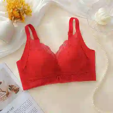 芬腾 调整型全罩杯聚拢上托收副乳无钢圈防下垂舒适蕾丝文胸 女款