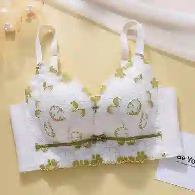 芬腾 调整型聚拢小胸上托收副乳无钢圈防下垂文胸 女款