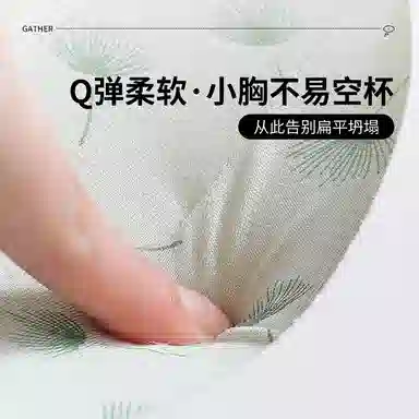 芬腾 调整型聚拢小胸显大上托收副乳无钢圈防下垂文胸 女款