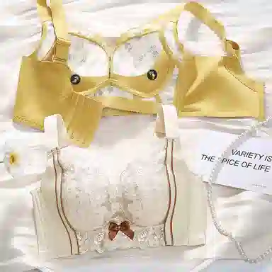 芬腾 小胸聚拢显大收副乳调整型矫正防下垂防外扩文胸 女款