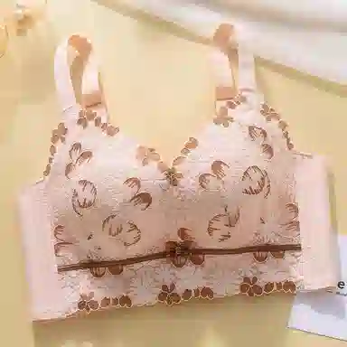 芬腾 调整型聚拢小胸上托收副乳无钢圈防下垂文胸 女款