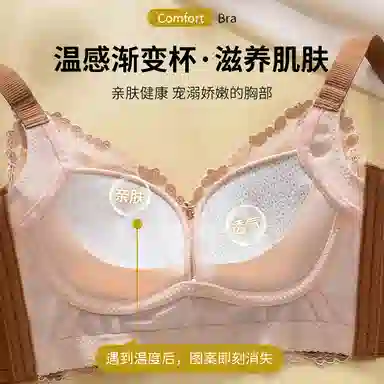 芬腾 调整型聚拢小胸上托收副乳无钢圈防下垂文胸 女款