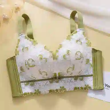 芬腾 调整型聚拢小胸上托收副乳无钢圈防下垂文胸 女款